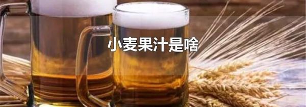 小麦果汁是啥