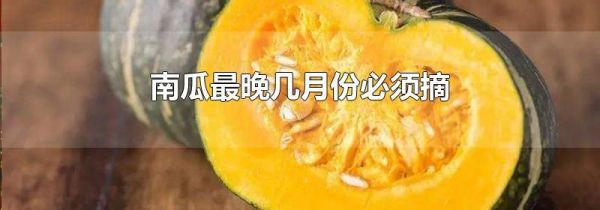 南瓜最晚几月份必须摘