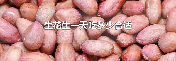 生花生一天吃多少合适