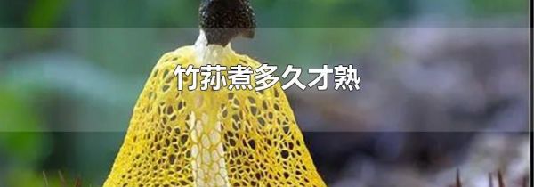 竹荪煮多久才熟