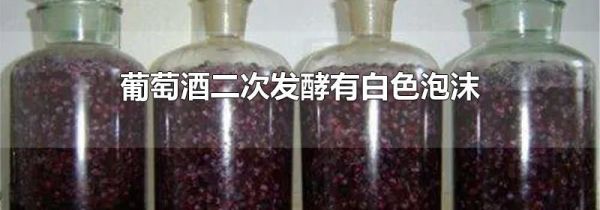 葡萄酒二次发酵有白色泡沫