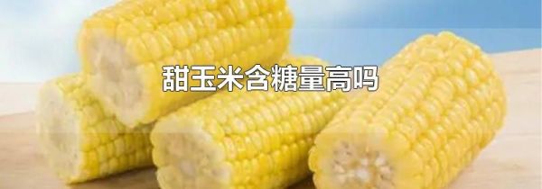甜玉米含糖量高吗