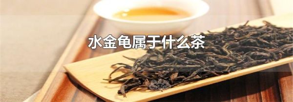 水金龟属于什么茶