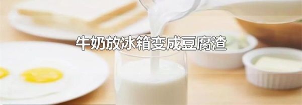牛奶放冰箱变成豆腐渣