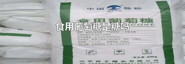 食用葡萄糖是糖吗