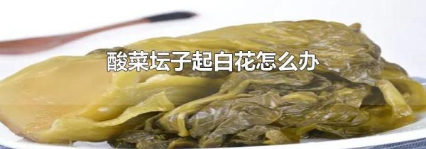 酸菜坛子起白花怎么办
