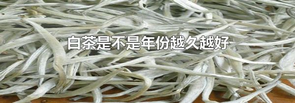 白茶是不是年份越久越好