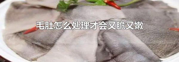 毛肚怎么处理才会又脆又嫩