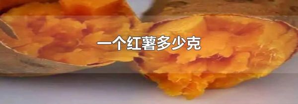 一个红薯多少克