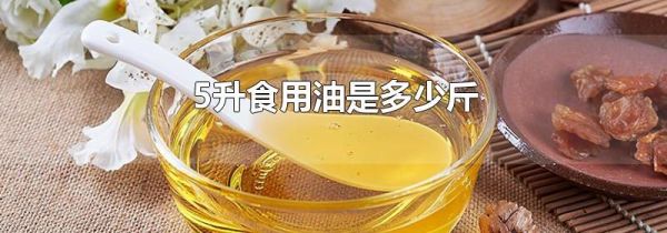 5升食用油是多少斤