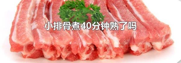 小排骨煮40分钟熟了吗
