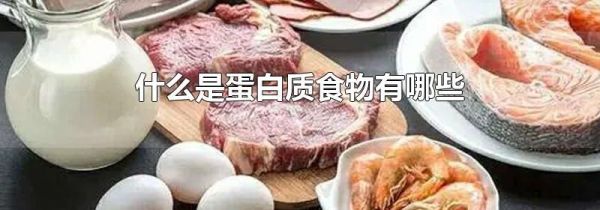 什么是蛋白质食物有哪些