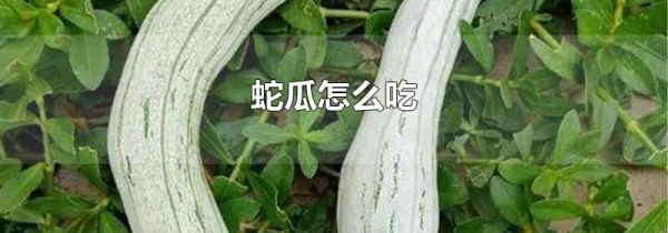 蛇瓜怎么吃