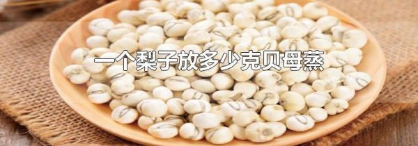 一个梨子放多少克贝母蒸