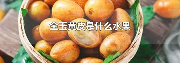 金玉黄皮是什么水果