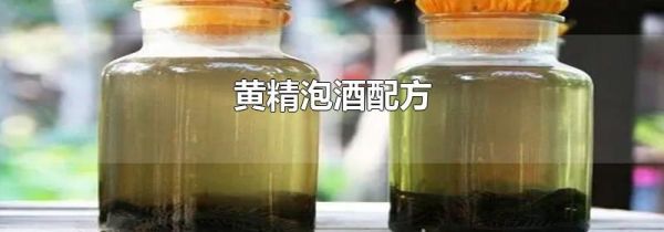 黄精泡酒配方