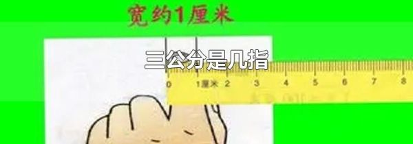 三公分是几指