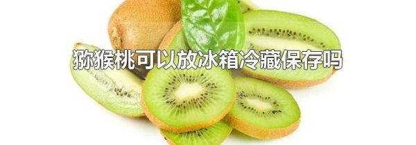 猕猴桃可以放冰箱冷藏保存吗