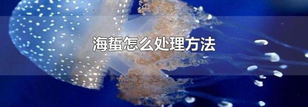 海蜇怎么处理方法