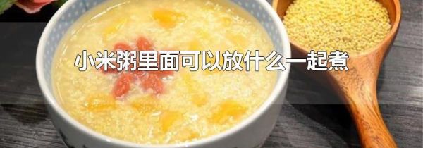 小米粥里面可以放什么一起煮