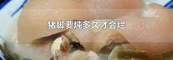 猪脚要炖多久才会烂