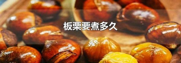 板栗要煮多久