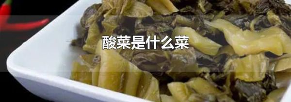 酸菜是什么菜