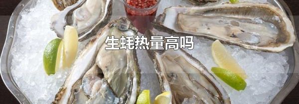 生蚝热量高吗