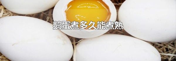 鹅蛋煮多久能煮熟