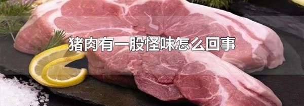 猪肉有一股怪味怎么回事
