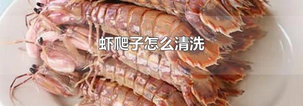 虾爬子怎么清洗