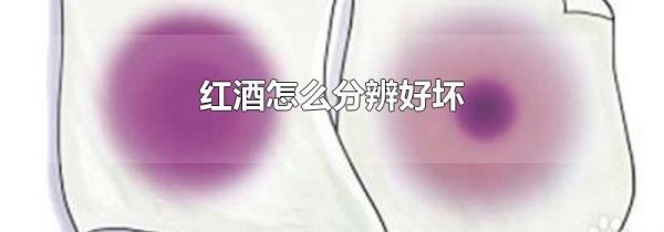 红酒怎么分辨好坏