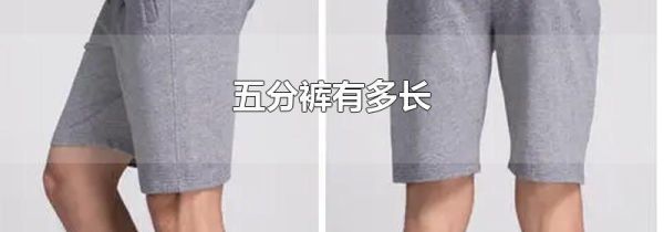 五分裤有多长