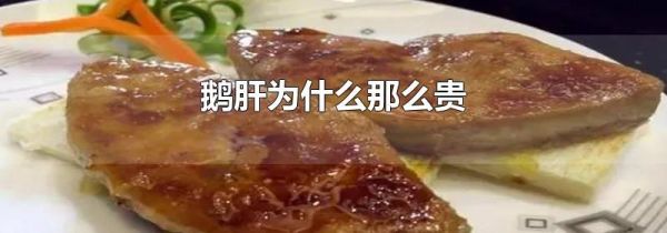 鹅肝为什么那么贵