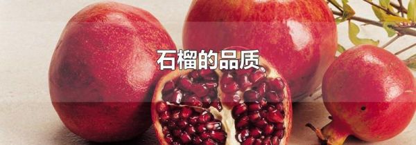 石榴的品质