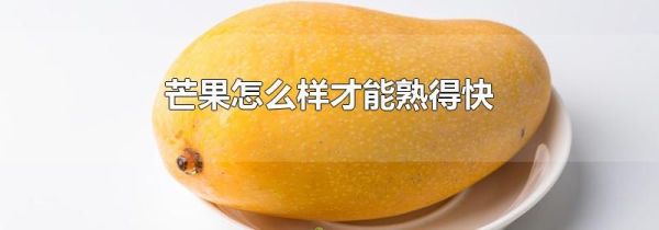 芒果怎么样才能熟得快