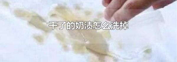 干了的奶渍怎么洗掉