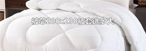 被芯200x230被套选多大