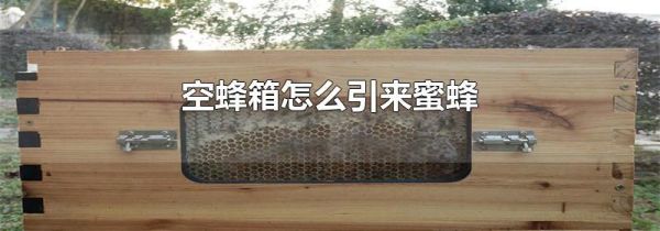 空蜂箱怎么引来蜜蜂