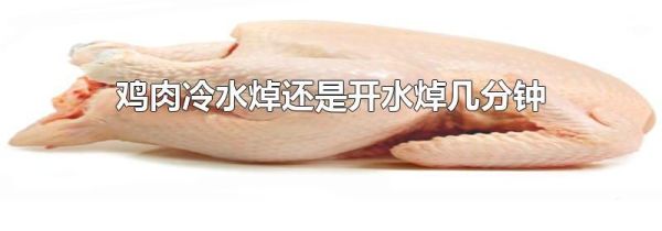 鸡肉冷水焯还是开水焯几分钟
