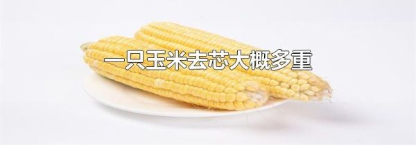 一只玉米去芯大概多重