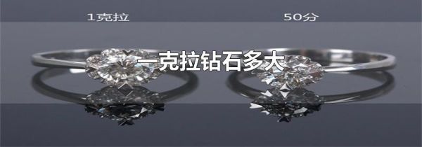 一克拉钻石多大