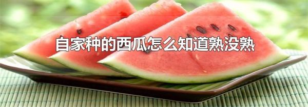 自家种的西瓜怎么知道熟没熟