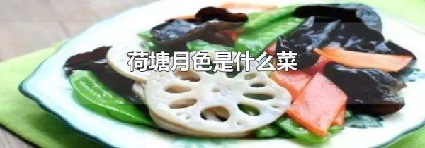 荷塘月色是什么菜