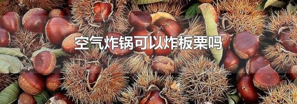 空气炸锅可以炸板栗吗