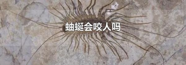 蚰蜒会咬人吗