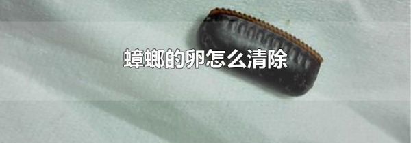 蟑螂的卵怎么清除