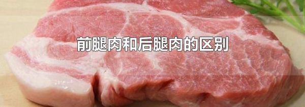 前腿肉和后腿肉的区别
