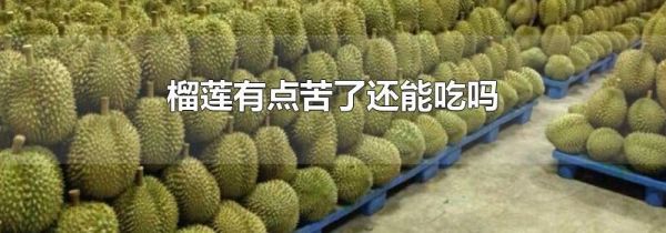 榴莲有点苦了还能吃吗