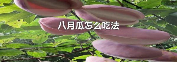 八月瓜怎么吃法